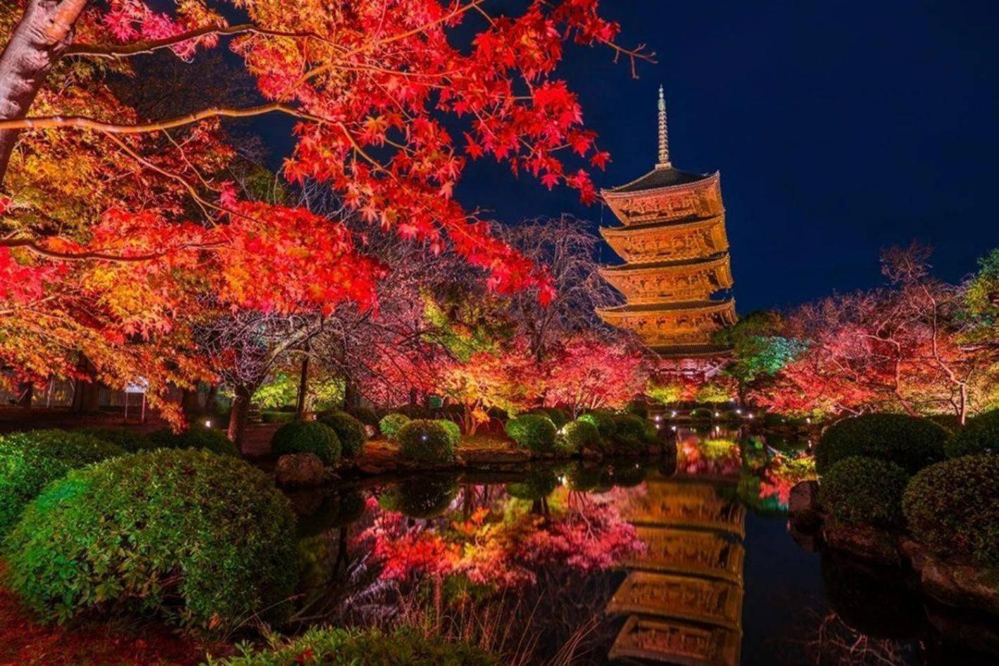 Séjour chez l'habitant Kuromon Royal Ueno Ōsaka